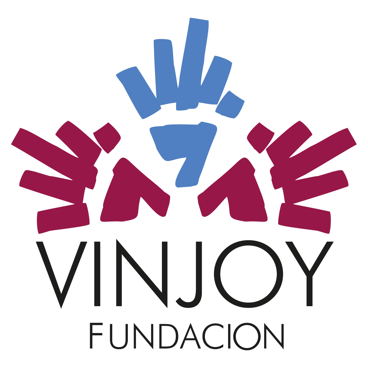 Vinjoy Moodle